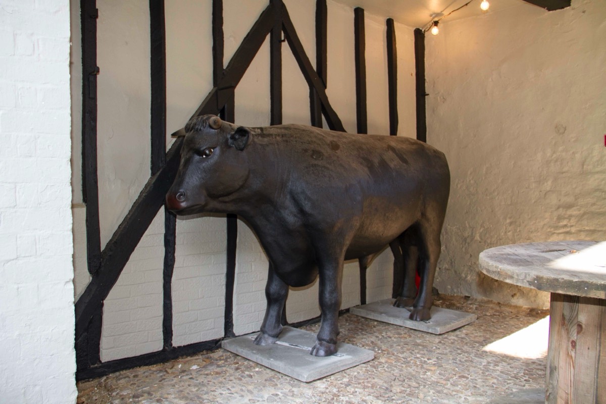 The Bull in the Bull