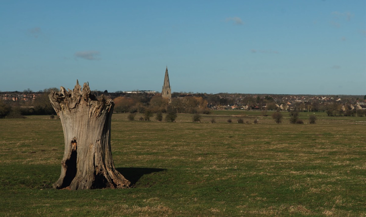 Stacks Image 488