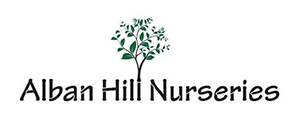 Alban Hill Logo
