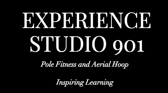 Studio 901 Pole Fitness and Aerial Hoop