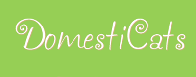 Domesticats Cleaning Services