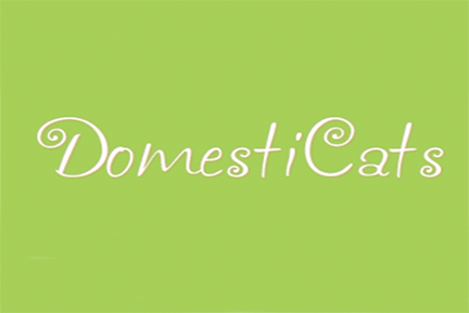 Domesticats Cleaning Services