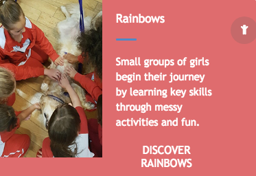 Rainbows, Brownies, Guides and Rangers