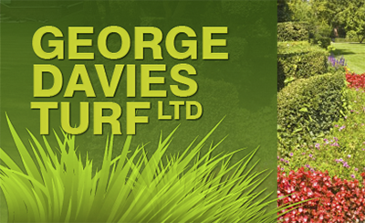 George Davis Turf