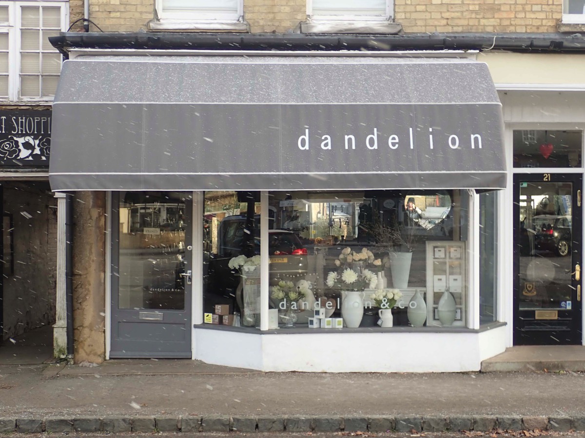 Dandelion & Co in Olney