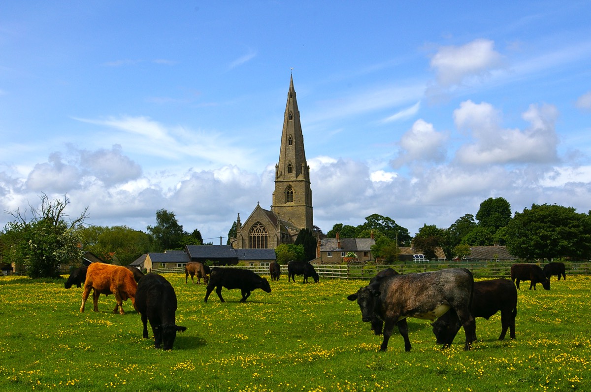 Olney Church pictures from the fields